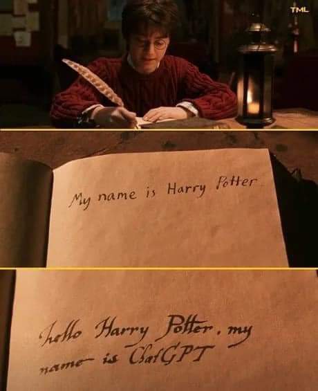 HP meme
